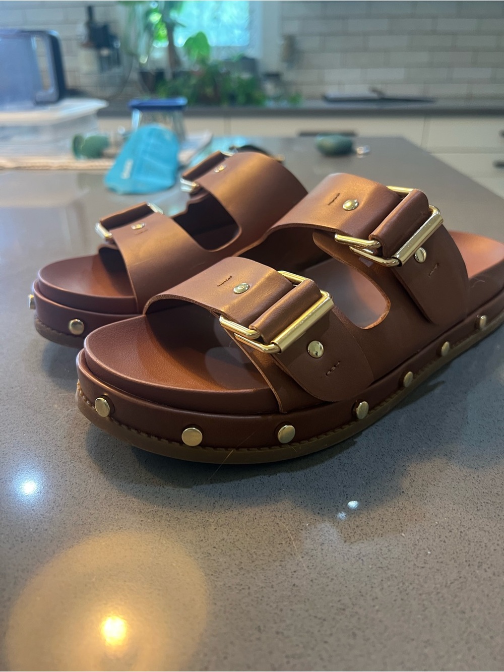 BCBGeneration Brown Double Buckle Slide Sandals with Gold Hardware - Picture 2 of 6